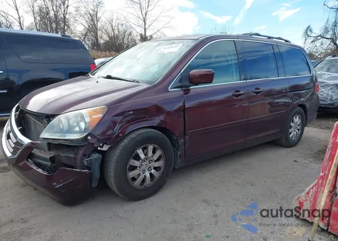 2010 Honda Odyssey from USA, damaged, VIN 5FNRL3842AB031146